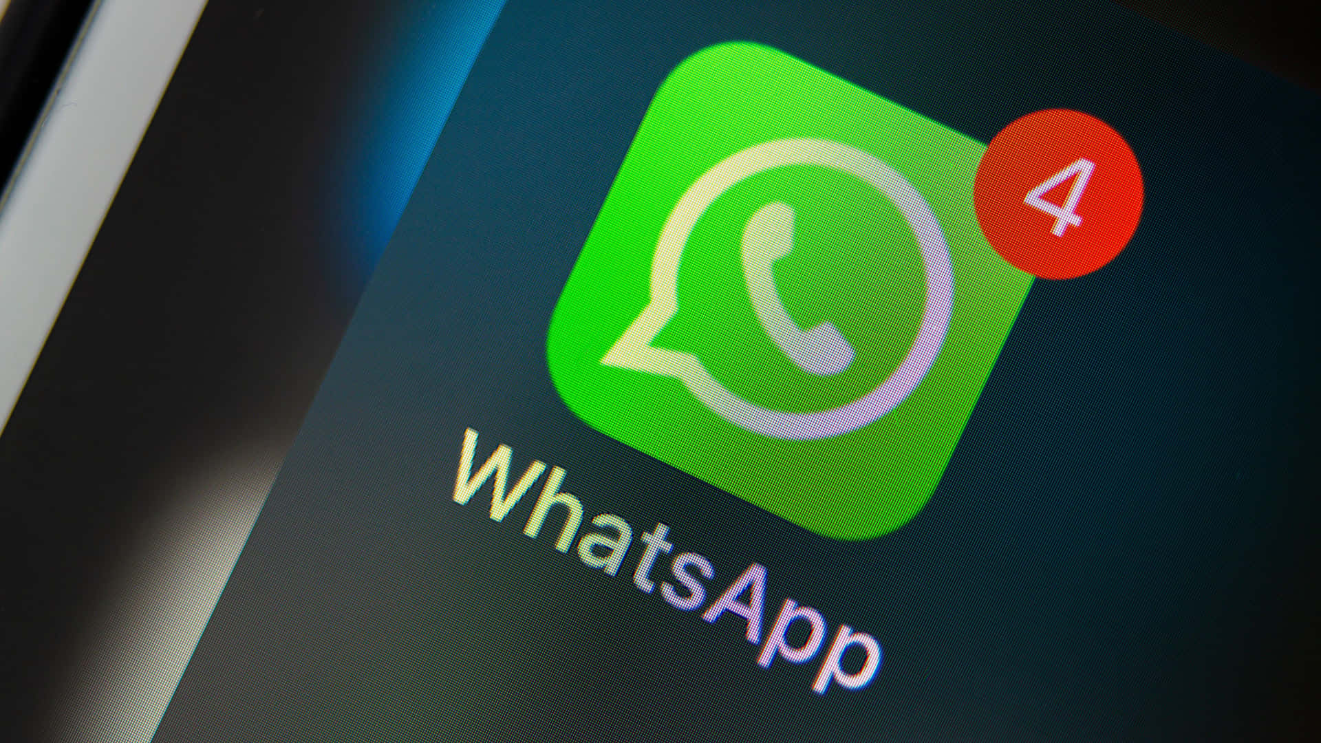 WhatsApp官网防坑指南:下载、注册到账号保护全流程