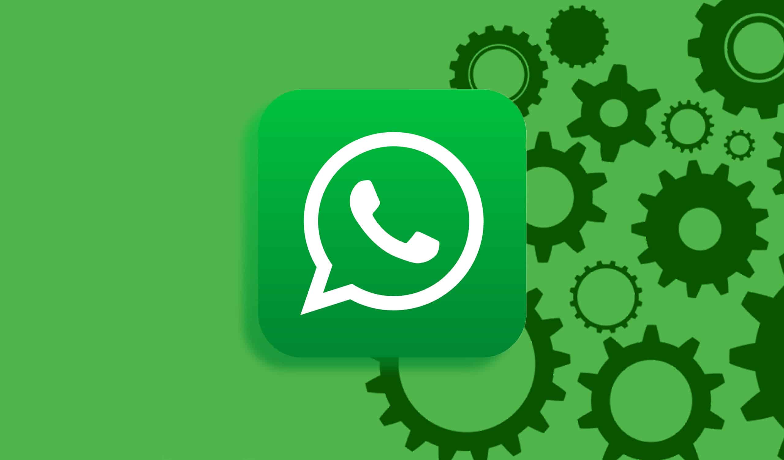 电脑玩WhatsApp更高效?手把手教你安装技巧